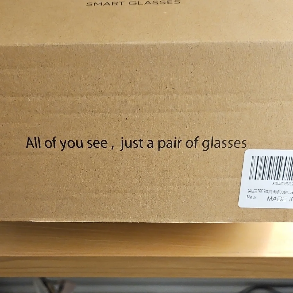 Sangstre Black Audio Smart Glasses with Gray Case